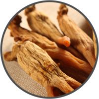 Asian Red Ginseng – VlgRX Plus ® Official Site