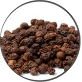 Bioperine – VlgRX Plus ® Official Site