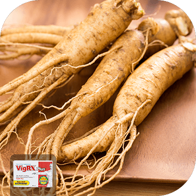 Asian Red Ginseng