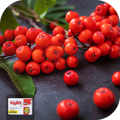 Hawthorn Berry